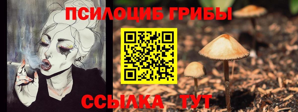 Псилоцибиновые грибы MAGIC MUSHROOMS Отрадный